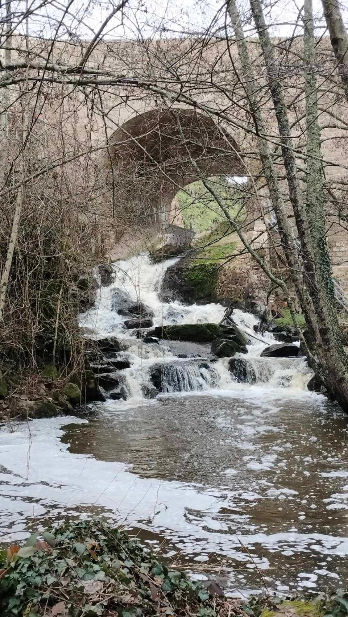 Gite "La Petite" Saint-Benoit-du-Sault エクステリア 写真